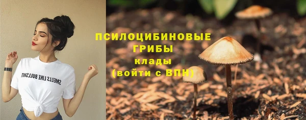 твердый Горно-Алтайск