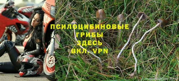 гашишное масло Горнозаводск