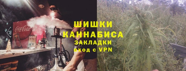твердый Горно-Алтайск